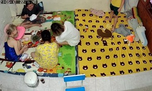 Diaper From Downtown