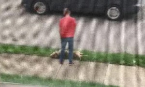 Dog Laying in Grass Doesn't Want to Continue Walk