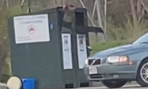 Donation Bin Swallows Dude