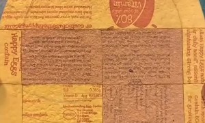 Talented Artist Creates Stunning Miniatures