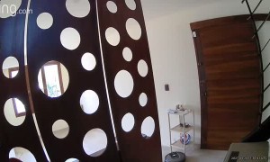 Robot Vacuum Makes a Mess