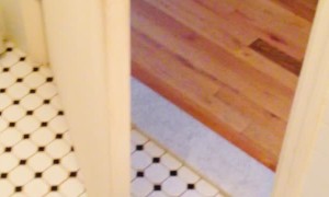 Sid the Cat Can't Be Stopped by Closed Doors