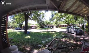 Ding Dong Ditch Drop