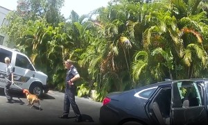 Florida police rescue puppy left in hot car