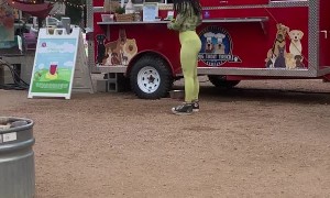 Food Truck for Pups