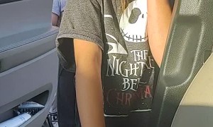 Pug Puppy Makes Perfect Present