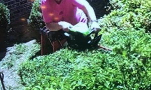 Snake Bites Woman as She Trims Shrubs