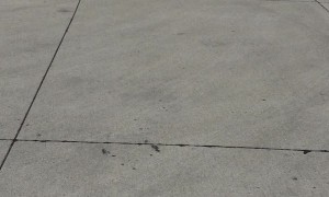 Family Power Wheels Racing