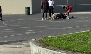 Suspected Robbery in Broad Daylight