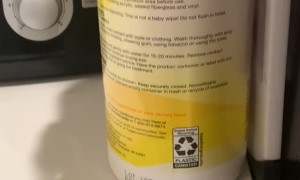 Two Cats Cuddle Together on the Counter