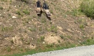 Turkeys Peck at Parked Car