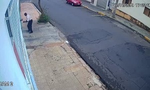 Taunted Dog Takes Book