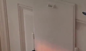 Clever Dog Unlocks Doggy Door