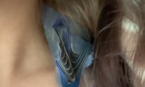 Sleepy Birds Seek Refuge in Hair