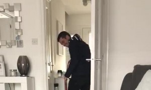 Pup Lays Down in Protest