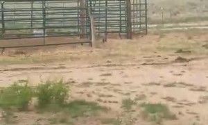 Ominous Tornado in Olney Springs