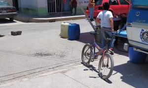 Daring Chihuahua Walks on Wires