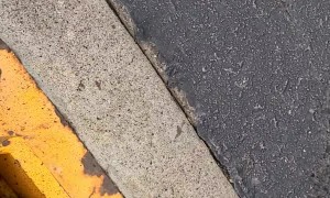 Worms Crawl in Carcass