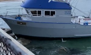 Boat Drives Full Throttle Into Dock