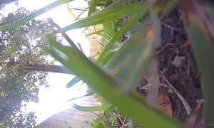 Camera Installation Comes Crashing Down