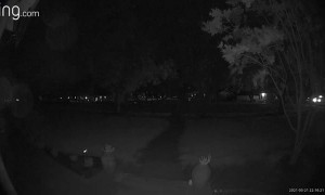 Video Doorbell Thwarts Ding Dong Ditch Prank