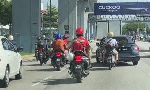 Brave Dog Sprints Down Busy Street