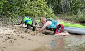 A Boy and His Dog Bond at the Beach