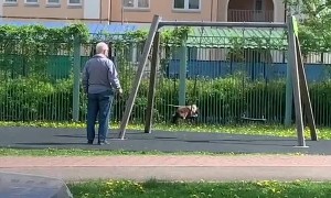 Kitty Climbs up to Play on the Swing