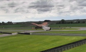 Beautiful Kestrel Hovers in Hunting Mode