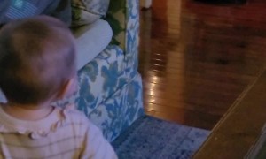 Girl Runs Away After Waking up Roomba