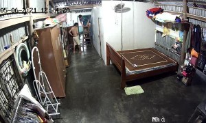 Wild Newborn Kittens Rescued from Aqueduct