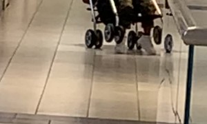 Kid in Stroller Likes Tipping Over
