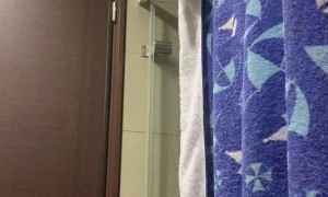 Feathered Phone Keeps Ringing