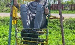Grown Man Flips in Kid's Swing