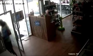 One Snake Enters, One Worker Leaves