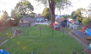 Raccoon Attacks Dog to Save Baby