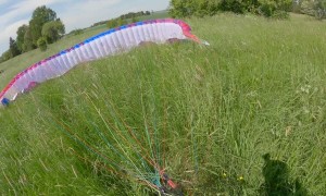Paraglider Trying to Land is Confronted by Deer
