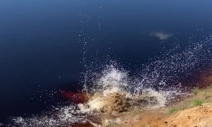 Man Barely Makes Leap into Dirty Pond