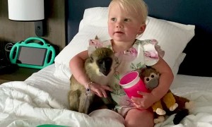 Monkey Hugs Her Human Best Friend
