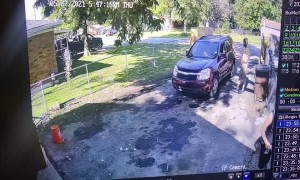Quick Thinking Boy Dodges an Old Falling Tree
