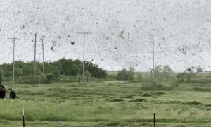 Dust Devil Disturbs Eerily Calm Day