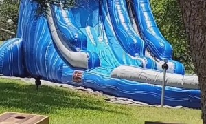 Labrador Loves Giant Waterslide