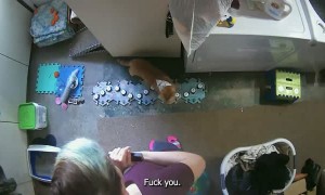 Stinky Cat Gets Gives Sarcastic Response