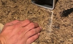 Can Opener Surprises Man by Opening Can