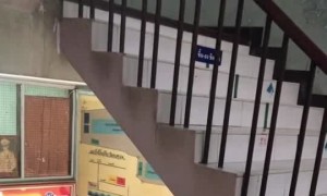 Uninvited Monitor Lizard Tries to Go to Class