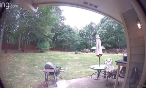 Dog Drags Lady After Spotting Squirrel