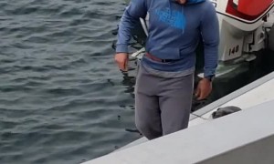 Sea Lion Follows For Fish