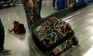 Traveler's Luggage Matches Trousers