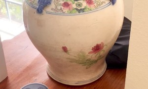 Sneaky Cat Finds His Way into Vase