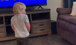Goldendoodle Keeps Kid Off Couch